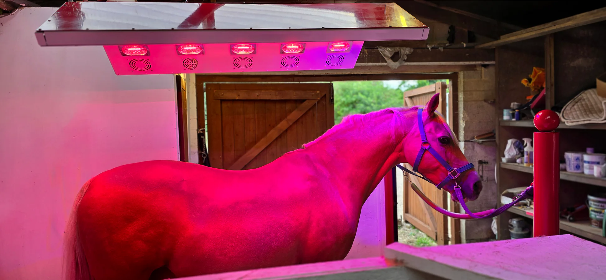 20240821_175945_1